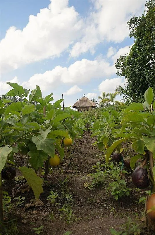 Bhuwana Ubud Hotel And Farming