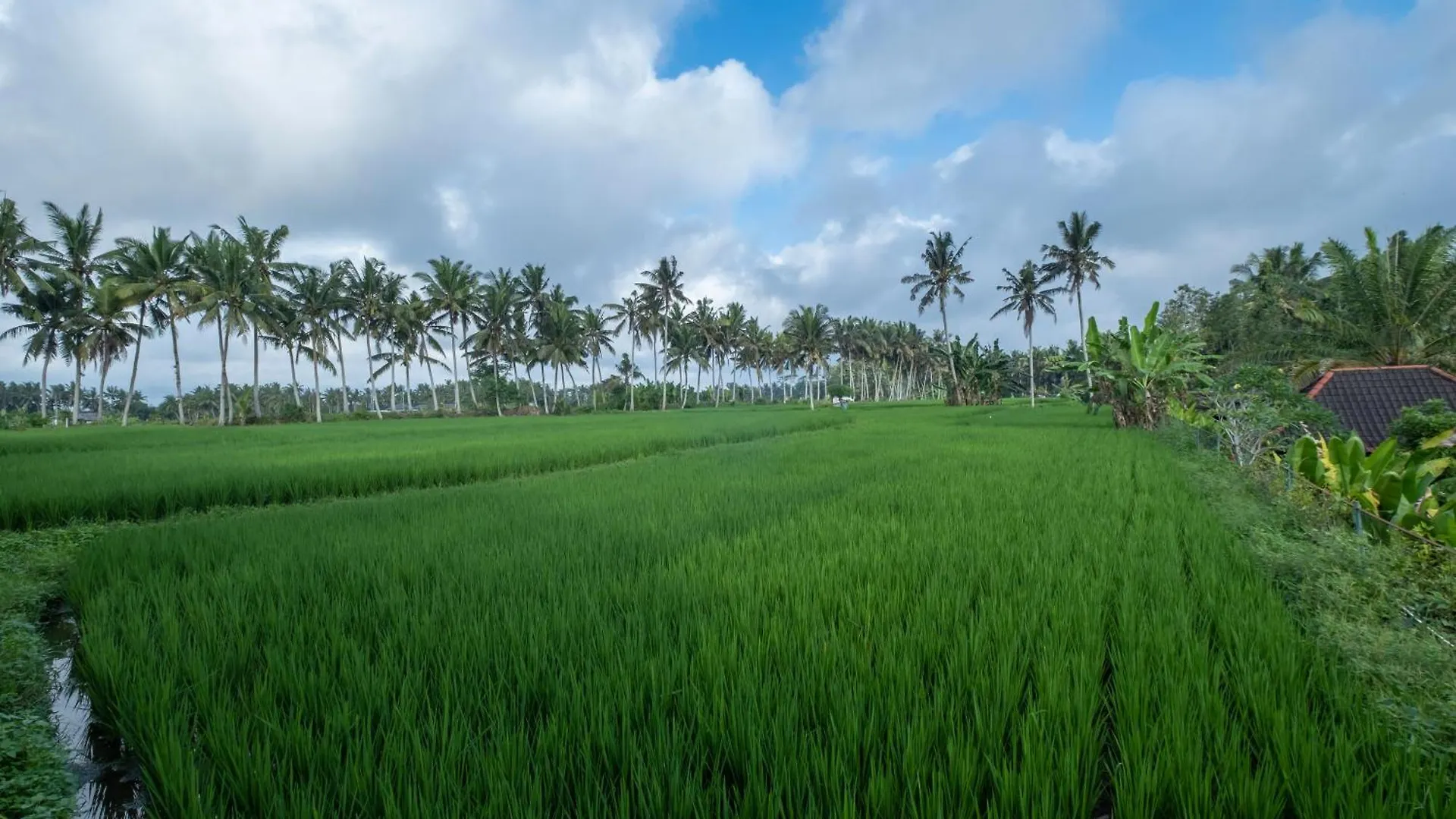 Bhuwana Ubud Hotel And Farming