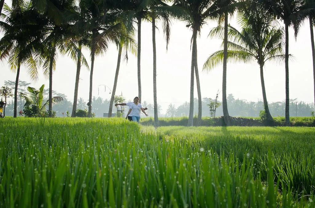 Bhuwana Ubud Hotel And Farming  Ubud (Bali)